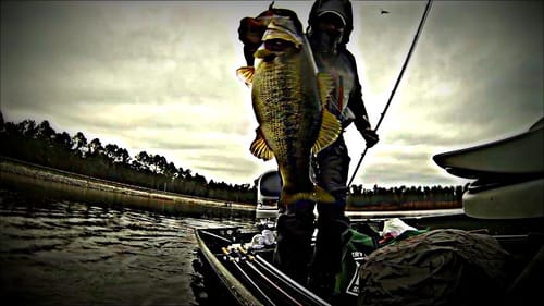 Jerkbait Bass Fishing For Winter Schooling Bass - GoPro Hero 4