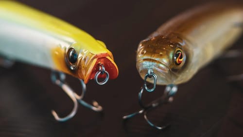How To Catch Suspended Bass! (Fishing During The Fall Draw Down)