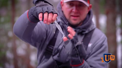 Underspins & Swimbaits for BIG Spotted Bass