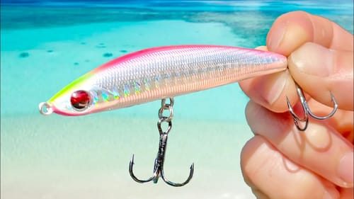 Light tackle beach fishing