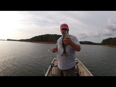 In-line spinners - a must in any tackle box.