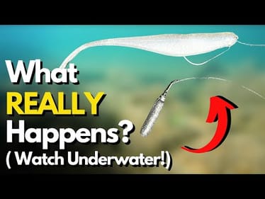 SEE What REALLY Happens With Drop Shot Leader Length (Side-by-Side Look Underwater)