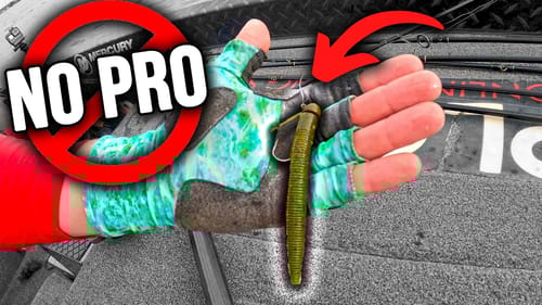 The NED Rig Trick the PROS use and NO One Talks About