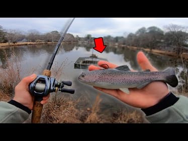 Fishing For GIANT BASS With HUGE SWIMBAITS! (Pond Fishing)