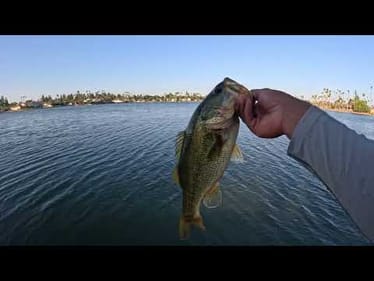 30 MINUTE POND HOPPING CHALLENGE #fishing #bassfishing