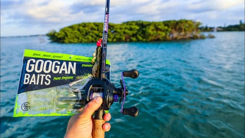 Fishing Saltwater With Googan Baits