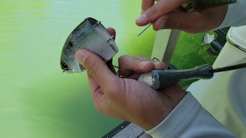 Tuning a Glide Bait: The Results