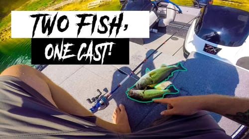 DOUBLE DRAGON! Catching TWO BASS at the SAME TIME! WHOPPER PLOPPER SKEDOOSH!
