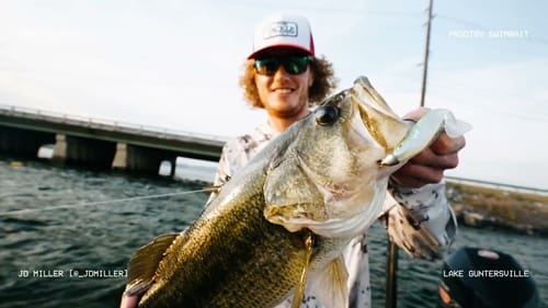 BIG BASS FISHING - PRODIGY FINESSE SWIMBAIT