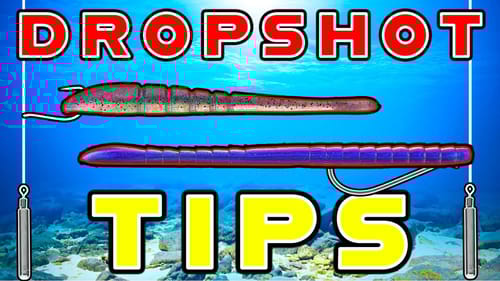 Drop Shot Tips For Hot Summer Bass! (And The Mistakes To Avoid)