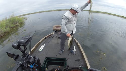 What to Wear Fishing This HOT Summer | Bass Fishing