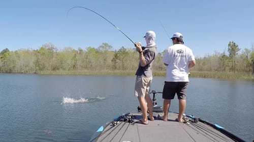 Sight Fishing for Bass in Clear Water