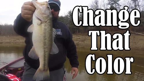 Signs You Need to Change Colors EVEN When You're Catching'em.
