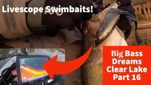 Garmin Panoptix Livescope Swimbait Fishing - FINALE Big Bass Dreams Clear Lake Part 16