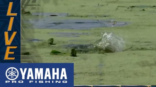 Yamaha Clip of the Day: Martin and Shryock end Day 1 with a topwater upgrade