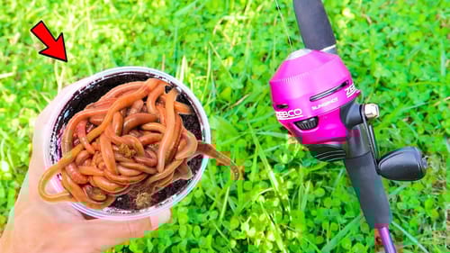 Fishing w/ GIANT Livebait WORMS (WALMART)