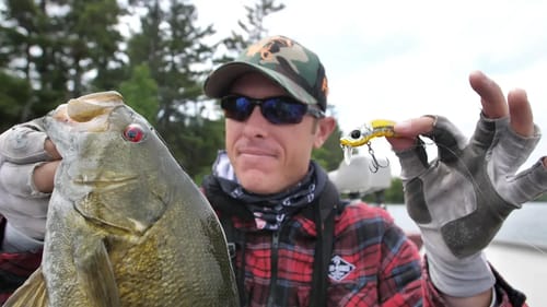 Deadly Topwater Search Lure