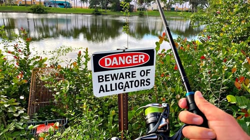 Florida Pond Fishing is DIFFERENT...
