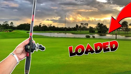 Fishing ABANDONED Golf Course LOADED w/ Fish