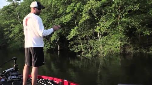 Fishing Floating Frogs for Bass