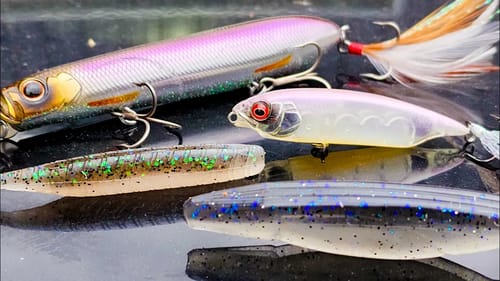 How To Catch Fish All Day! Even When It's Hot And Sunny!