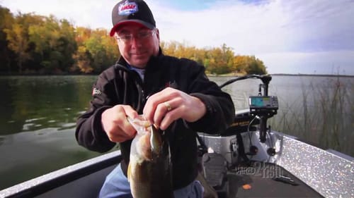 Lipless Crankbaits versatility