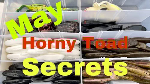 May Horny Toad Secrets!