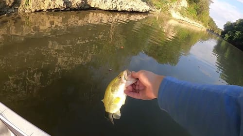 Kayaking the Middle Bosque (River Giant Caught)