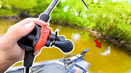 Catching GIANT Bass in SMALL Backwater Creeks (River Fishing)
