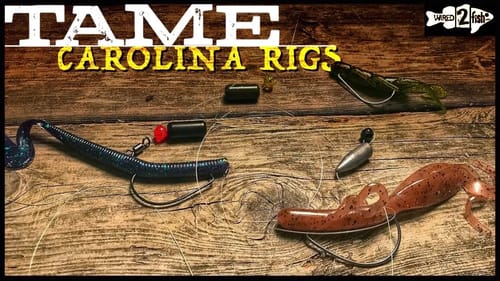 Keep Carolina Rig Leaders Organized and Protected