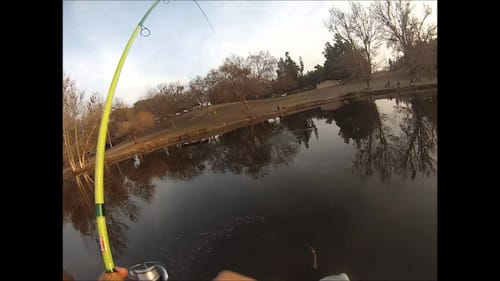 Woodward Park Trout Fishing 2014