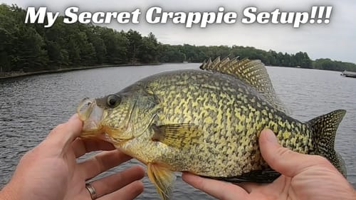 My SECRET Crappie Bait! It Catches Slabs!