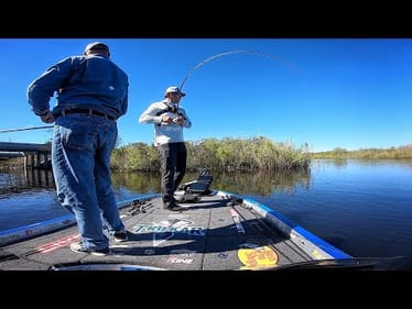I Take These Guys to the Everglades