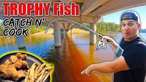 These Trophy Fish were NOT what I was Expecting to Catch...so I ATE THEM! (Catch & Cook)
