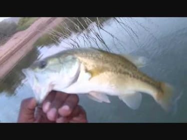 Day Before Bass Fishing Tournament