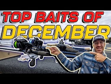 TOP BAITS of the MONTH ( DECEMBER 2025 Edition 4K )