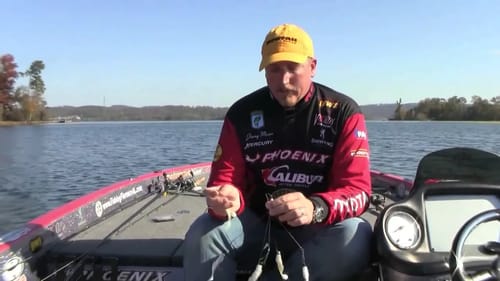 Fishing the Alabama Rig