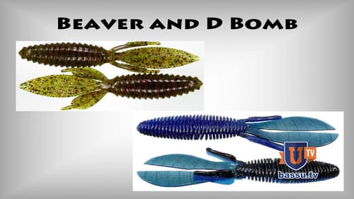 John Crews on "Catching Bass with My Beaver"