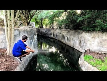UNEXPECTED CATCHES from TINY HIDDEN CREEK!