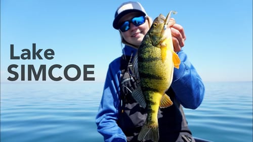 Its Open Water Time!! PERCH Fishing on Lake Simcoe!
