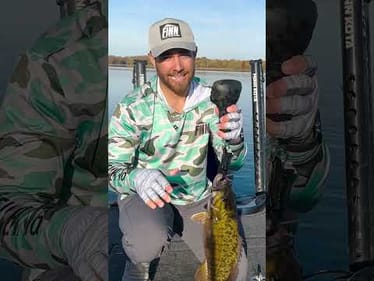 How BIG is this Bass?