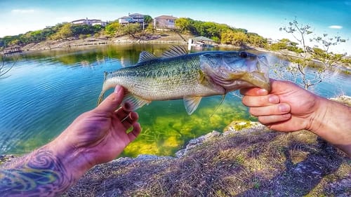 Hungry Spring Largemouth Bass | My Wife Helps!
