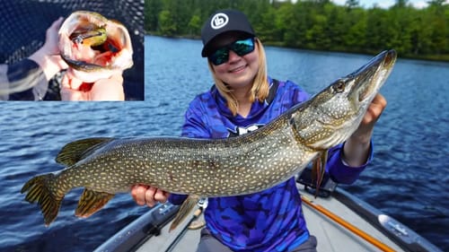 Custom Rigged Swimbait for Big Pike!!