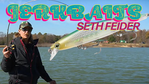 Winter Cold Water Jerkbait Bass Fishing [Bassmaster Seth Feider's Secret Tips]