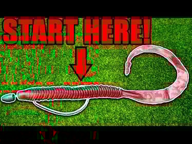 How I'd Learn to Fish a Soft Plastic Worm(If I Could Start Over)