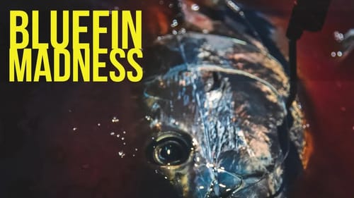 Insane Bluefin Tuna Boils Acres of Foamers - Big Tuna Dreams Part 8