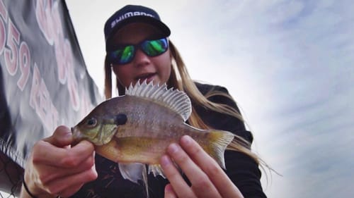 Kicked Out for Fishing Bluegill!?