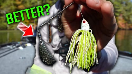 The ONLY Lure Better than a SPINNERBAIT in November
