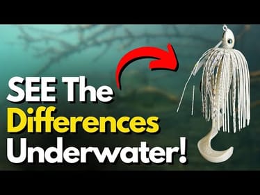 5 Swim Jig Trailer Body Styles Compared Underwater