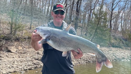 Catching Catfish While Bass Fishing Tells You THIS…